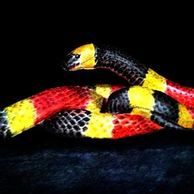 Пестрая лента   :)