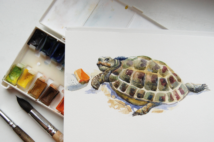 Черепах Черчиль