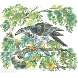 Иллюстрация к книге В. Бована "Лесное ожерелье", издательство "Детское время" ("Детгиз"), 2018 г.