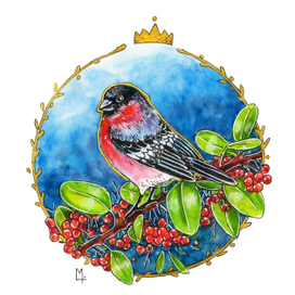 Снегирь и ягоды