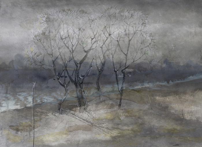 Пасмурный берег