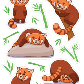 Красная панда