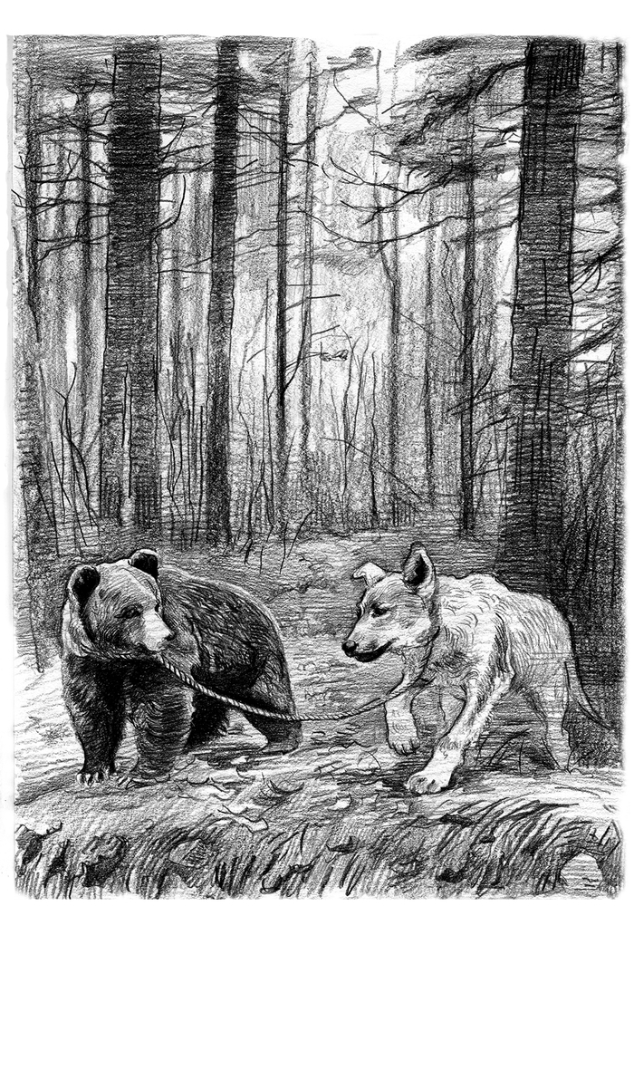 "Друзья поневоле"