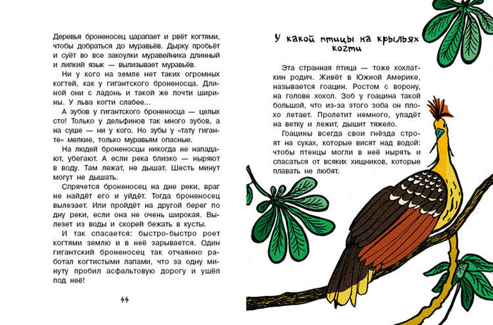 Кто без крыльев живет_22