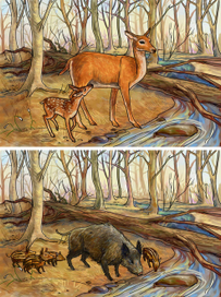 Времена года.весна