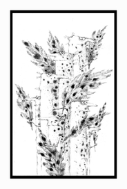 Въезд Христа в Иерусалим