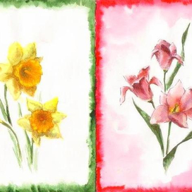 нарциссы, тюльпаны
