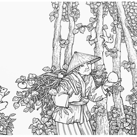 Без названия