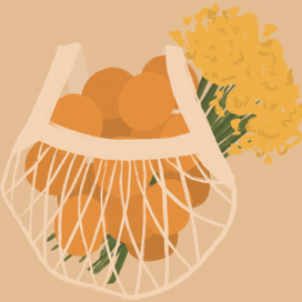 Авоськи дял подруг