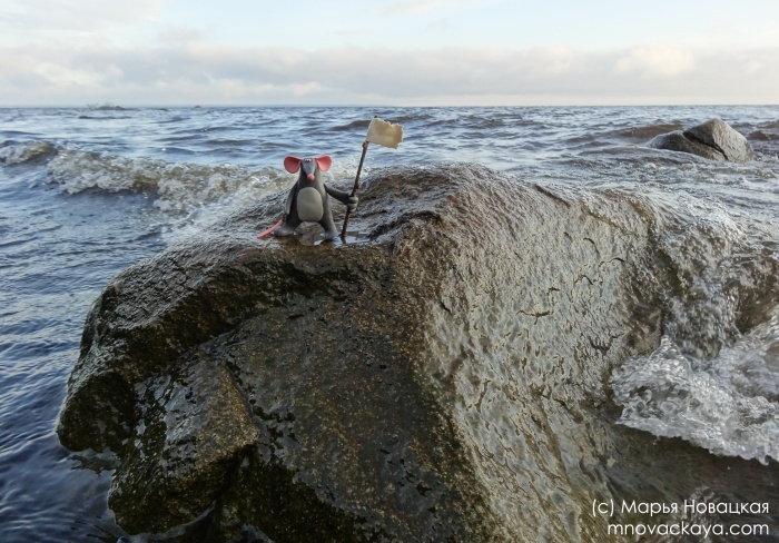 Мышь после кораблекрушения