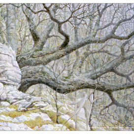 Стеклянный ангел, каменный дракон