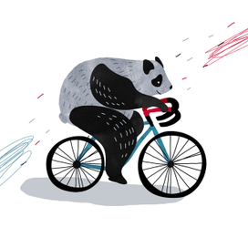 панда на велосипеде
