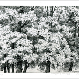 Парк Павловск