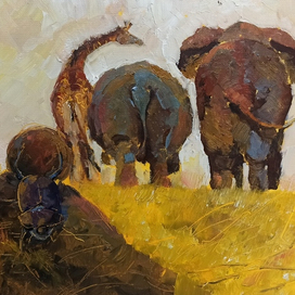 Навозные жуки