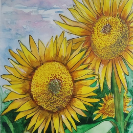 Веселые подсолнухи