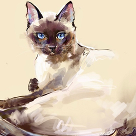 Сиамская кошка