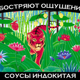 Иллюстрация для рекламного макета