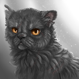 Коты-воители - Щербатая