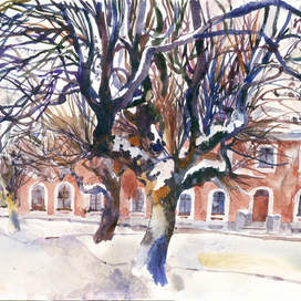 Зимние яблони. Тимирязевская академия.