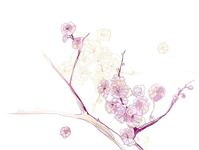 ЦВЕТУЩЕЕ АБРИКОСОВОЕ ДЕРЕВО