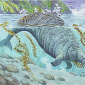 "Зарезали ить нашу Бурёнку-от... Как есть, загубили.... И на расплод не оставили..."