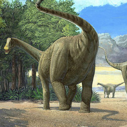 Tapuiasaurus makedoi