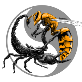 Scorpion vs hornet 