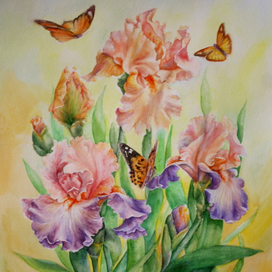 Ирисы и бабочки