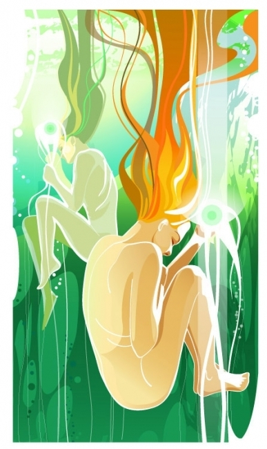 морские светлячки