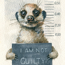 "I AM NOT GUILTY"