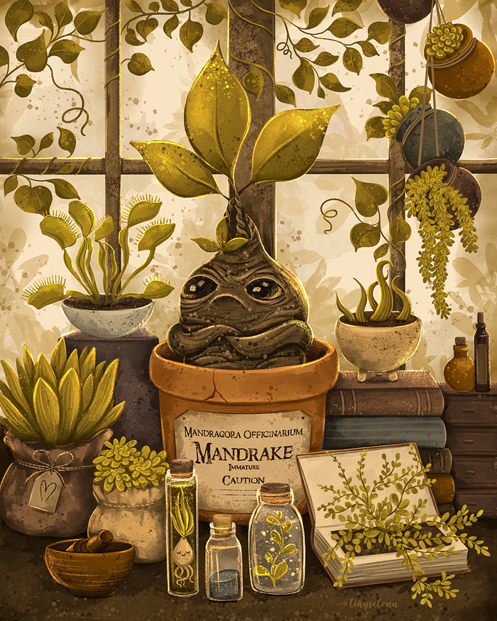 Мандрагора | Гарри Поттер фанарт