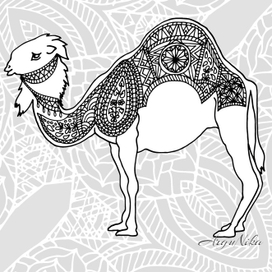 Верблюд. Раскраска