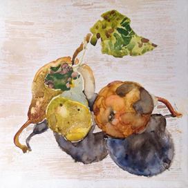 Вечер. Груши. Радио