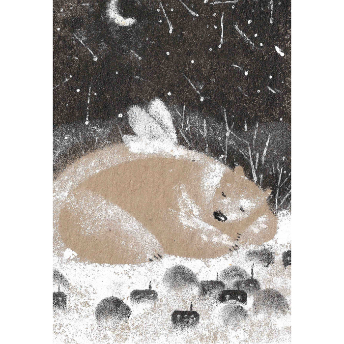 Волшебство зимы