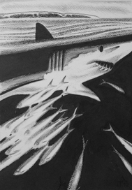 Иллюстрация к сказкам и басням Л.Н.Толстого