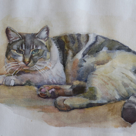 Кошка акварель