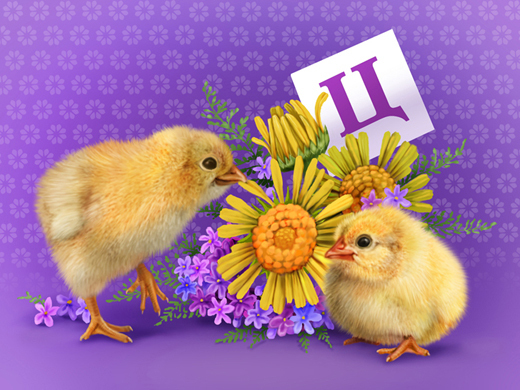 Цыплята, Цветы