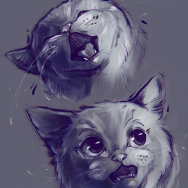 Скетч котиков