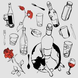 Бутылки, вино и котик