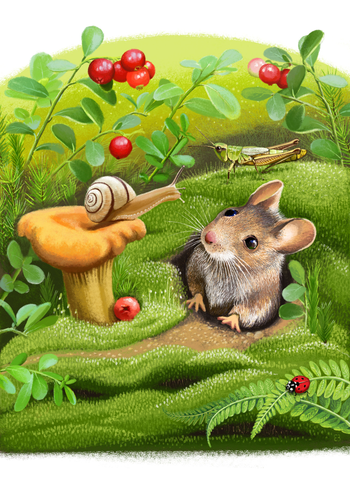 К сказке Ирины Гуриной "Улиткина мечта"