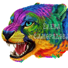 Яркий гепард