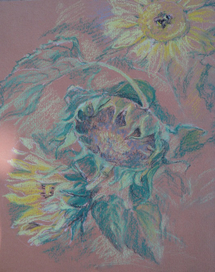 Подсолнухи