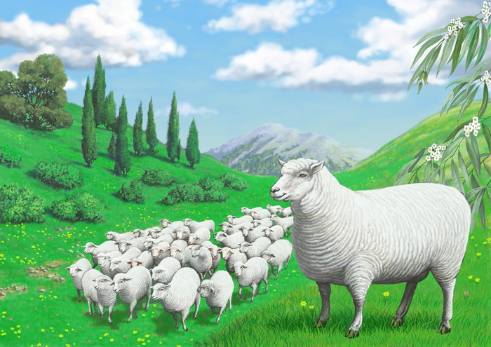 BIO-TOTAL Белоснежная  отара