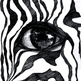 Взгляд времени