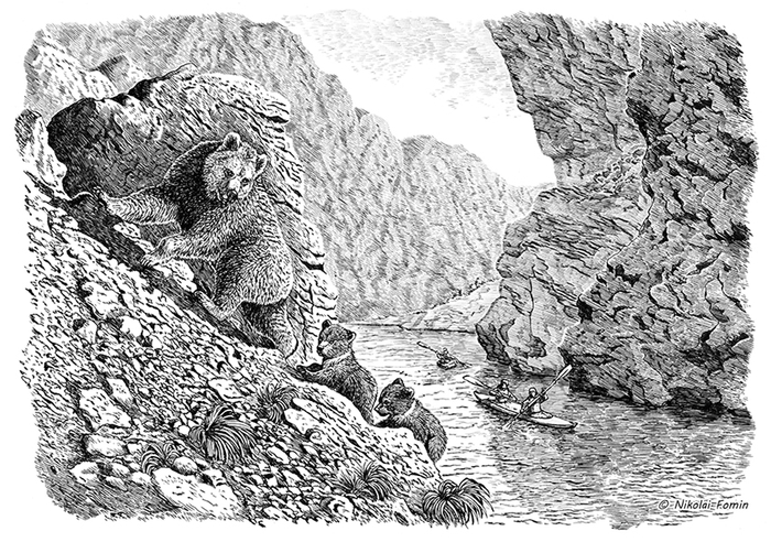 Сплав по Чаткалу.