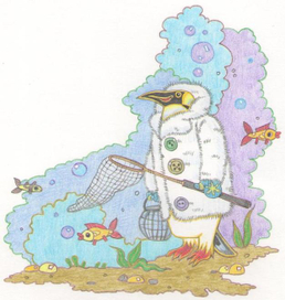 О пингвинах