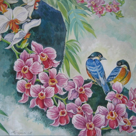 орхидеи и птицы