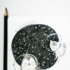 Барсик, здесь нет рыбы...