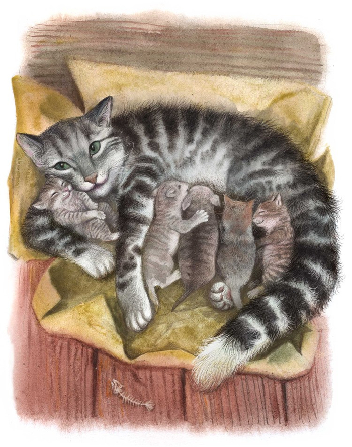 Королевская Аналостанка