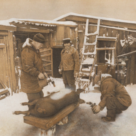 Из серии "Времена года". Лист 1